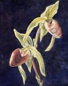 Orchidee,2023,Öl auf Leinwand, 30x24cm, Hjordis Baacke